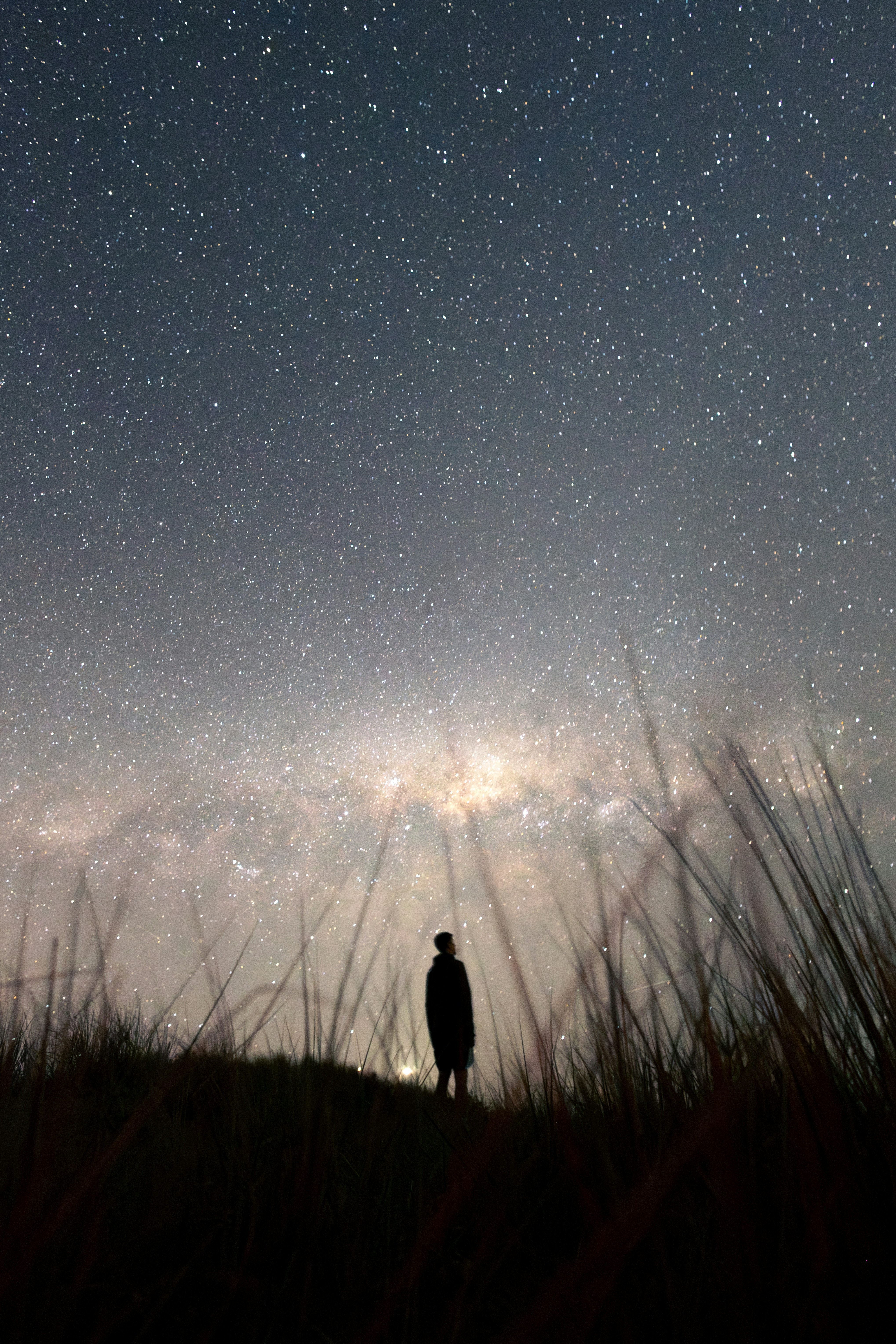 A single figure silhouetted against a vast starfield — a tiny conscious processor facing an incomprehensible volume of information